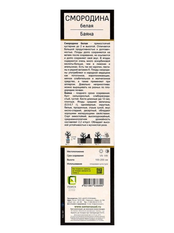 Смородина белая «Баяна», саженец, туба, 1 шт. Смородина белая «Баяна», саженец, туба, 1 шт.