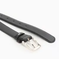 Ремень женский, 110&times;2.8 см, пряжка металл, серебристая, чёрный