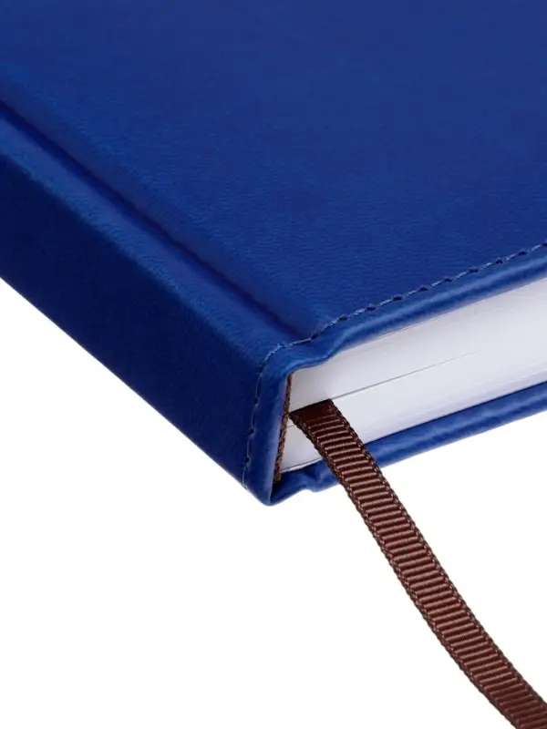 Ежедневник недатир А5 160л вивелла, синий