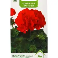 Семена цветов Пеларгония зональная &laquo;Люстра Скарлет&raquo;, 5 шт., &laquo;ПОИСК&raquo;