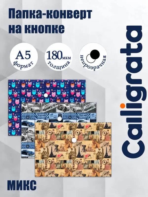 Папка-конверт на кнопке А5, 180 мкм, Calligrata, глянцевая, непрозрачная, МИКС