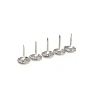 Гвозди ТУНДРА, декоративные, обивочные, фактурные, 11&times;16 мм, хром, 100 шт.