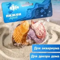 Набор ракушек Пектен Вексиллум средние, 4 - 6 см, 100 г
