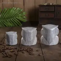 Сувенирный набор дерево "Совы серые пятнистые" 6х19х8 см Сувенирный набор дерево "Совы серые пятнистые" 6х19х8 см