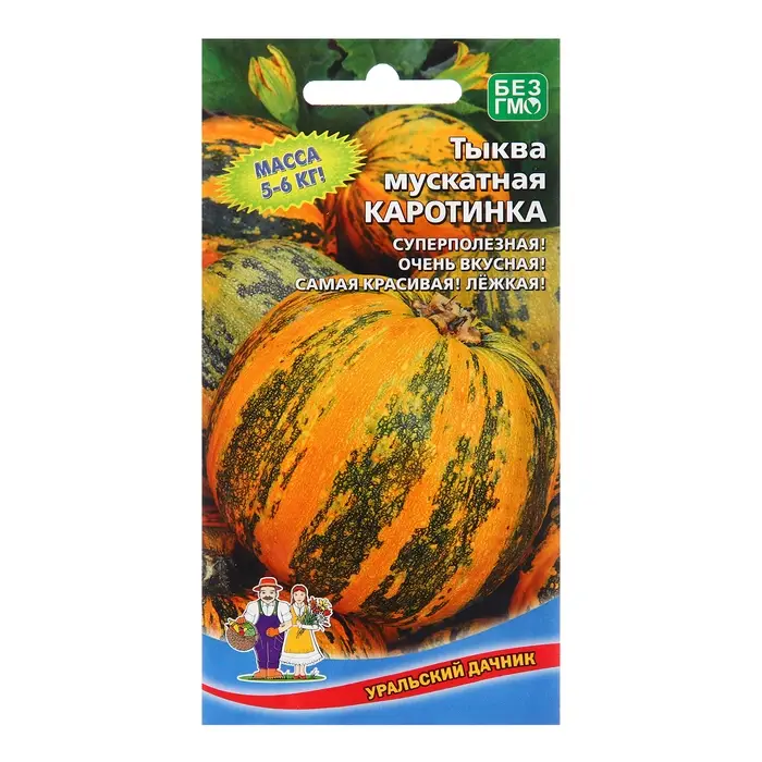 Семена Тыква Семена Тыква "Каротинка", 6 шт