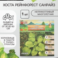 Хоста «Рейнфорест Санрайз», корневище в пакете с торфогрунтом, р-р I, 1 шт.