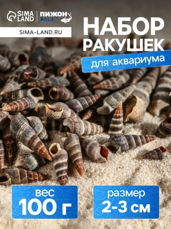 Набор ракушек Батиллярия, 100 г