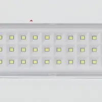 Светильник светодиодный аварийный непостоянный DBA-103-0-20 60LED 5ч IP20 40/1600