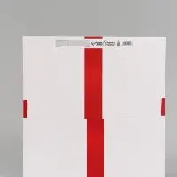 Пакет подарочный квадратный Red, 40&times;40&times;40 см
