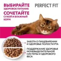 Влажный корм Perfect Fit для кошек, говядина, пауч,  75 г