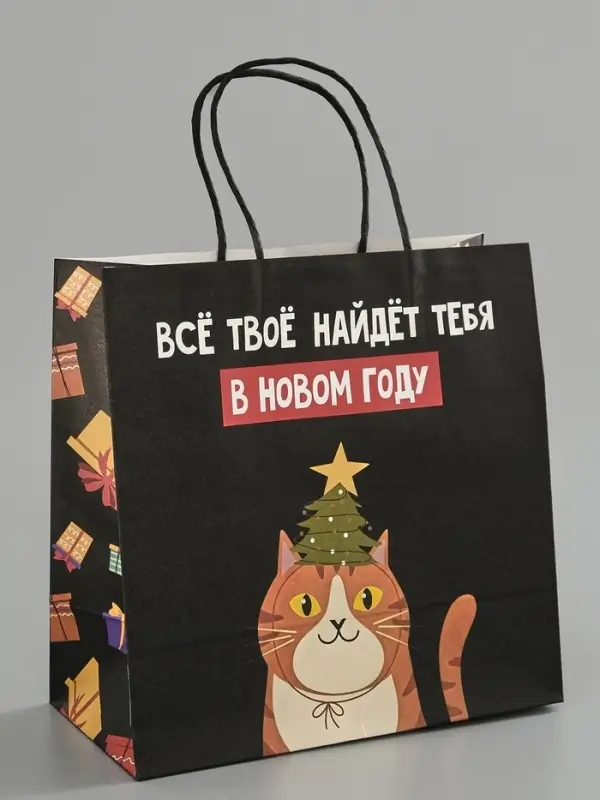 Пакет подарочный крафт &laquo;Найду новом году&raquo;, 22&times;22&times;11 см