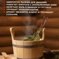 Веник для бани, эвкалиптовый, в еврослоте, &laquo;Добропаровъ&raquo;