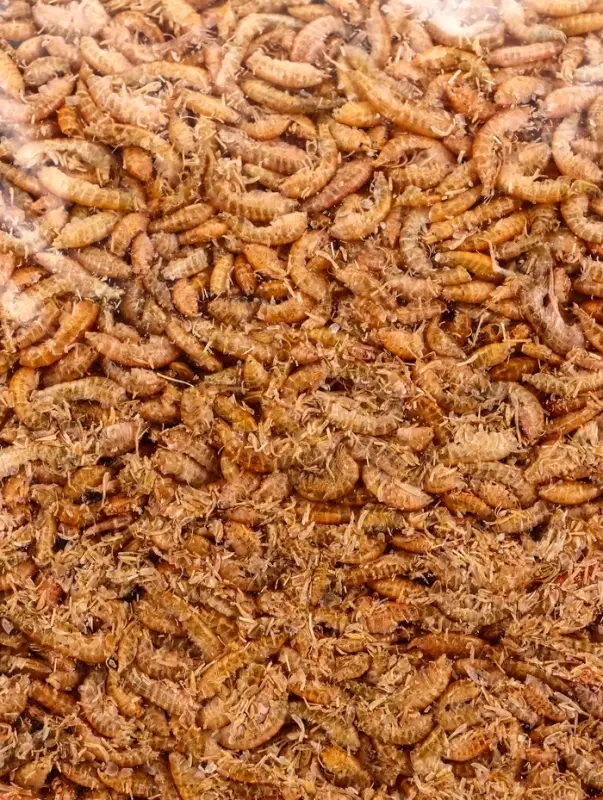 Корм для рыб и черепах &laquo;Пижон&raquo; гаммарус тушка, 500 г