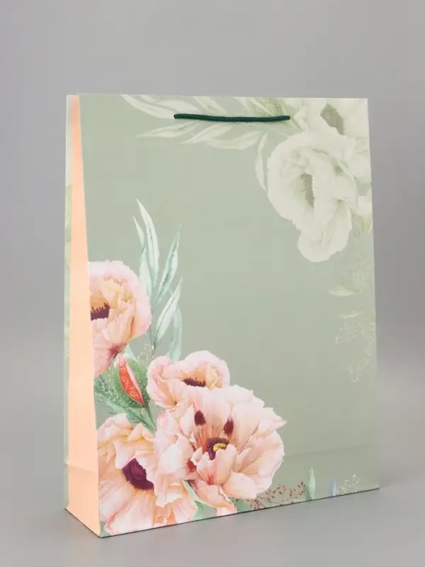 Пакет подарочный ламинированный «Прекрасный день» 33×42.5×10 см Пакет подарочный ламинированный «Прекрасный день» 33×42.5×10 см