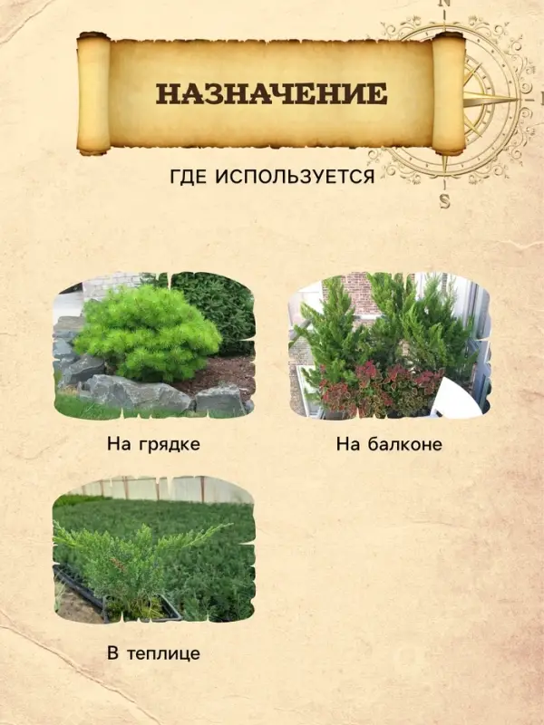 Грунт для Туи и Можжевельника PETER PEAT, линия &laquo;Хобби&raquo;, 20 л