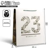 Пакет подарочный ламинированный, упаковка, &laquo;23 февраля&raquo;, M 26&times;30&times;9 см