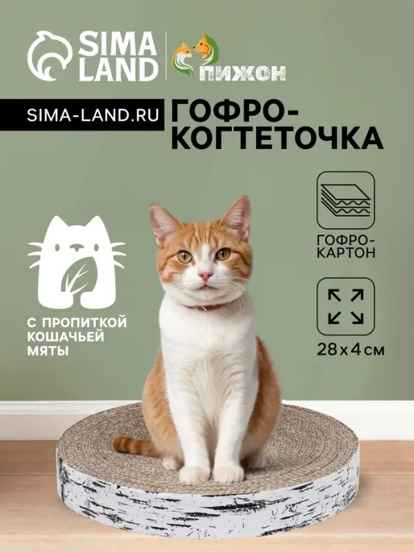 Гофрокогтеточка &laquo;Пижон. Спил березы&raquo;, 28&times;4 см, с пропиткой, высокая, круглая