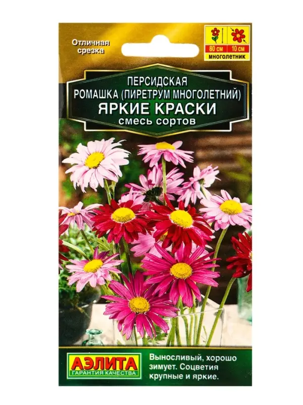 Семена цветов Персидская ромашка Яркие краски, смесь сортов Мн Золотая серия, Ц/П,0,1 г Семена цветов Персидская ромашка Яркие краски, смесь сортов Мн Золотая серия, Ц/П,0,1 г