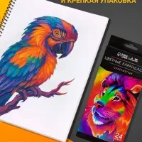 Карандаши Calligrata, цветные, 24 цвета, супермягкие, диаметр грифеля 3 мм, 5B