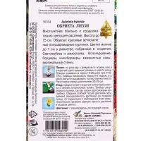 Семена цветов Обриета Лиззи 60 шт