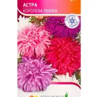 Семена Астра Королева Рынка 0,3 г Семена Астра Королева Рынка 0,3 г