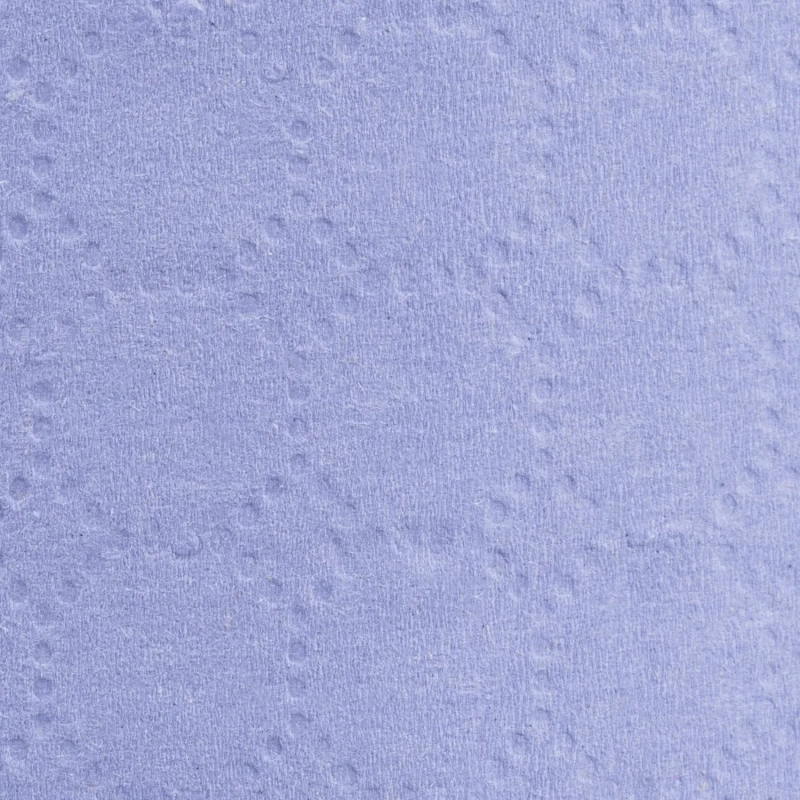 Бумага протирочная Luscan Prof 2сл 200лx1рул/уп 52м голубая