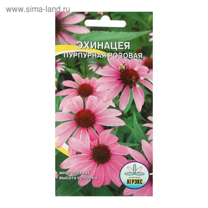 Семена цветов Рудбекия  Семена цветов Рудбекия "пурпурная-Розовая", 0,1 г