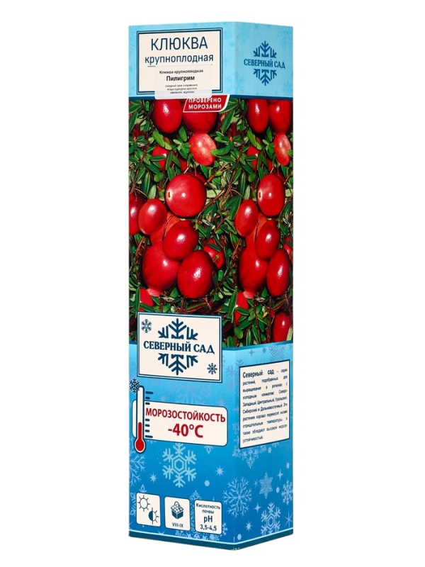 Клюква крупноплодная (Серия Северный Сад) Клюква крупноплодная (Серия Северный Сад) "Пилигрим" 1 шт, туба, Весна 2025