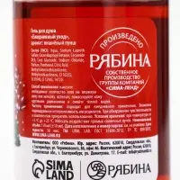 Подарочный набор новогодний в санях: 2 геля для душа, соль для ванны и мочалка, URAL LAB