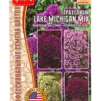 Семена цветов Трахелиум Lake Michigan Mix 4 м.др.  12.29 г.