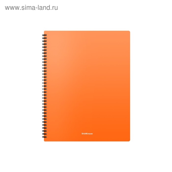Папка с 20 вкладышами на спирали, А4, 600 мкм, ErichKrause Matt Neon, текстура Папка с 20 вкладышами на спирали, А4, 600 мкм, ErichKrause Matt Neon, текстура "песок", МИКС