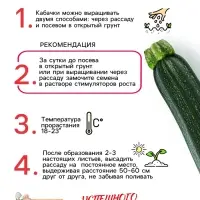 Семена Кабачок цукини "Цукеша", 2 г