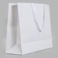 Пакет подарочный ламинированный горизонтальный &laquo;Белый&raquo;, 48&times;39&times;16 см