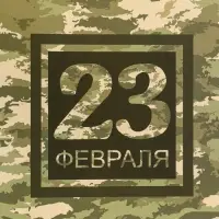 Пакет подарочный вертикальный &laquo;23 февраля&raquo;, ML 23&times;27&times;11.5 см