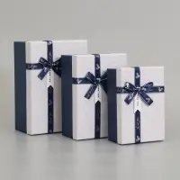 Набор подарочных коробок 3 в 1 прямоугольные 23&times;16&times;9.5 21&times;14&times;8.0 19&times;12&times;6.5 см