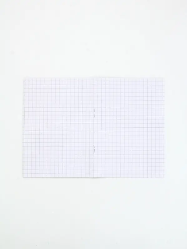 МИКС Блокнотов А6, 24 листа, в клетку "Капибары"