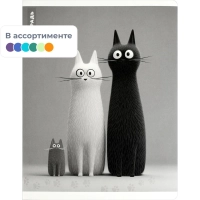 Тетрадь 48 л, клетка  ЧЕРНО-БЕЛЫЕ КОТЫ  А5+, в ассорт/70930