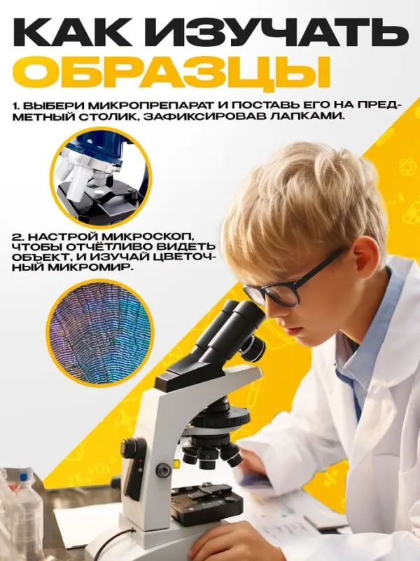 Набор для опытов &laquo;Набор микропрепаратов&raquo;, животные