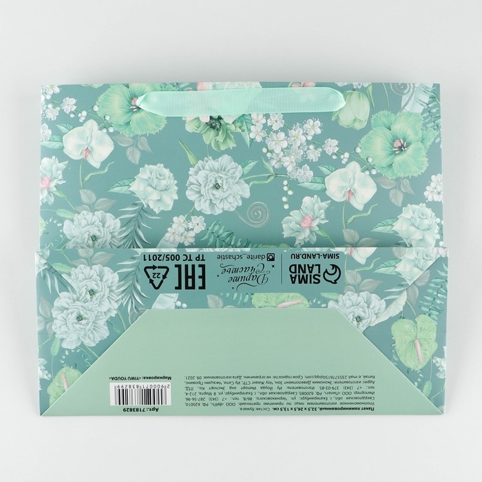 Пакет подарочный ламинированный с пластиковым окном, упаковка, «Тебе», 32,5 х 26,5 х 13,5 см Пакет подарочный ламинированный с пластиковым окном, упаковка, «Тебе», 32,5 х 26,5 х 13,5 см