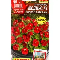 Семена цветов Мимулюс Медиус F1 карминно-красный (драже) С. Cerny Цветущий балкон, Ц/П,10 шт. 10945 Семена цветов Мимулюс Медиус F1 карминно-красный (драже) С. Cerny Цветущий балкон, Ц/П,10 шт. 10945