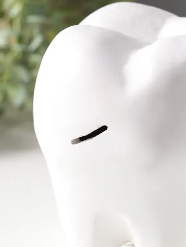 Копилка для денег &laquo;Зуб&raquo;, гипс, белый, 13&times;14&times;19 см