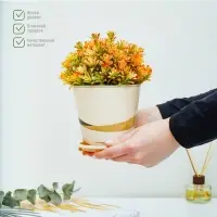 Горшок для цветов Доляна «Каракум», 800 мл, цвет бежевый Горшок для цветов Доляна «Каракум», 800 мл, цвет бежевый