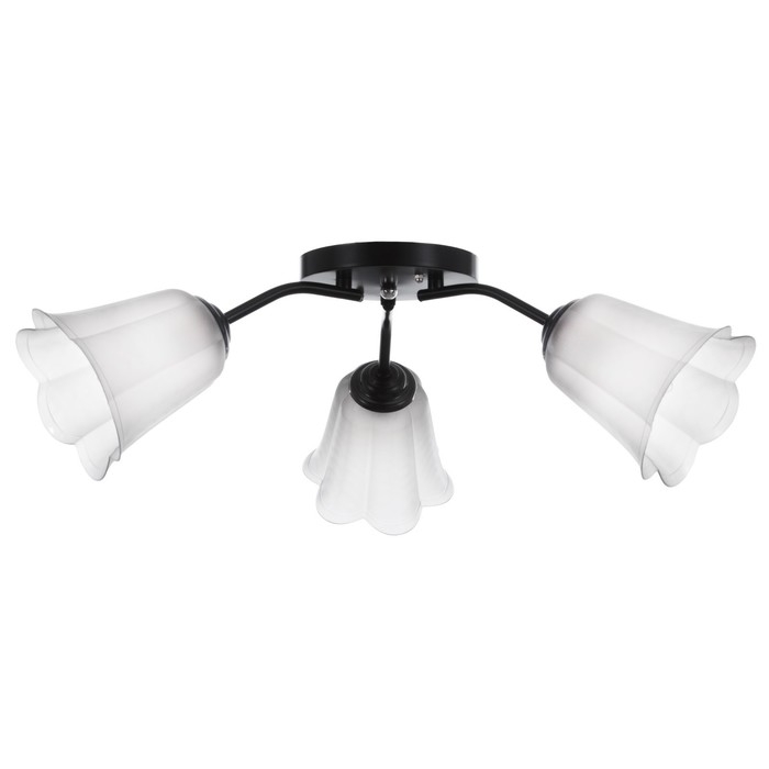 Люстра Люстра "Онлайн" (цветок) 3х15Вт Е27 МОДЕЛЬ: BR 00235 черный/прозрачный