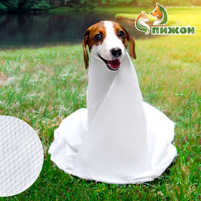 Полотенце для животных впитывающее, 60 х 80 см, 70 г/м² , одноразовое Полотенце для животных впитывающее, 60 х 80 см, 70 г/м² , одноразовое