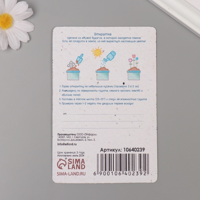 Растущая открытка Растущая открытка "Мишка" 10*15 см