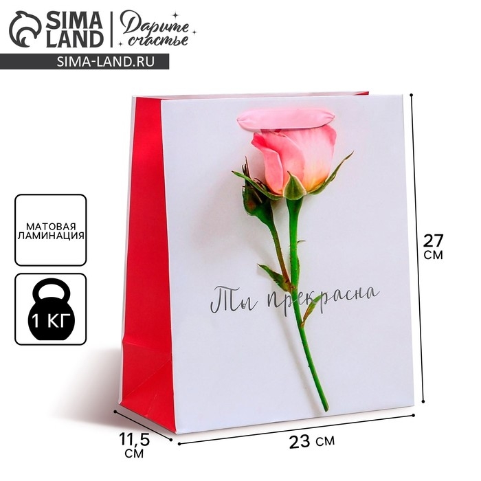 Пакет подарочный ламинированный вертикальный, упаковка, &laquo;Ты прекрасна&raquo;, ML 23 х 27 х 11,5 см