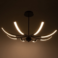 Люстра "Элеганс" LED 64Вт 3000-6000К черный 100х100х45 см BayerLux