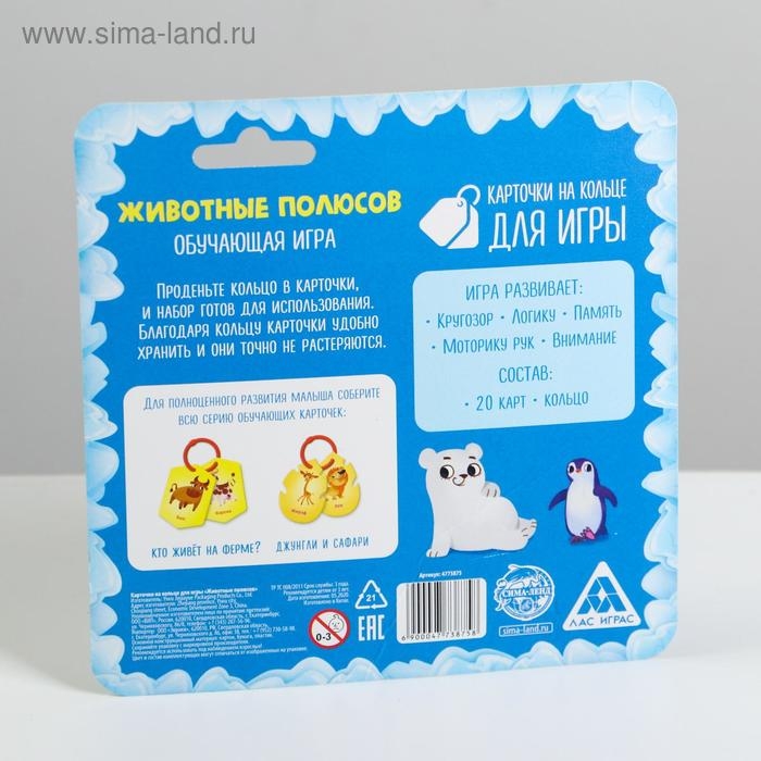Карточки на кольце для изучения английского языка «Животные полюсов», 20 карт, кольцо, 3+ Карточки на кольце для изучения английского языка «Животные полюсов», 20 карт, кольцо, 3+