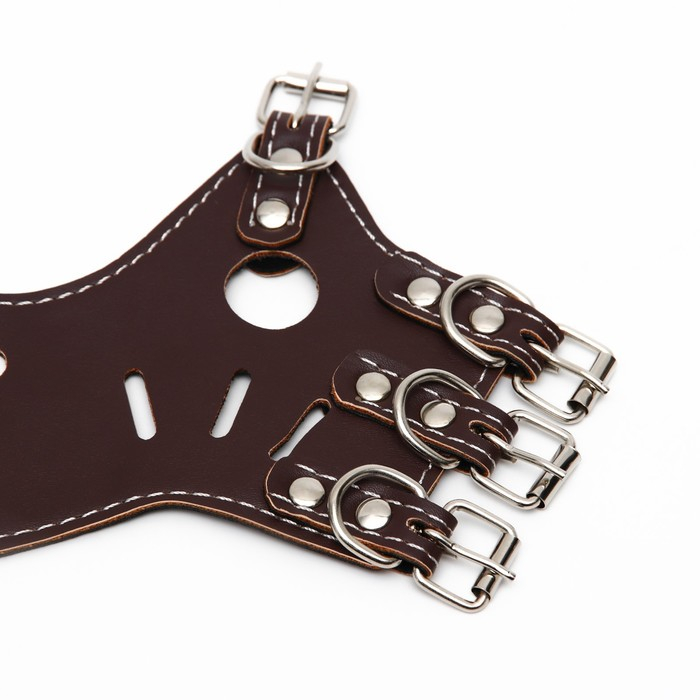 Намордник из прессованной кожи регулируемый, №3, ДН 6,8 см, ОМ 21-28 см, коричневый Намордник из прессованной кожи регулируемый, №3, ДН 6,8 см, ОМ 21-28 см, коричневый