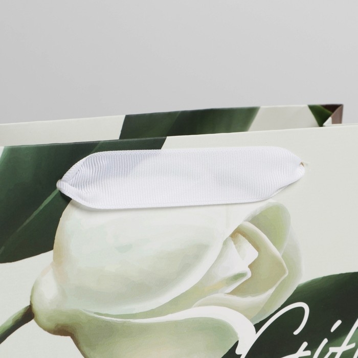 Пакет подарочный ламинированный, упаковка, «Подарок» 22 х 17,5 х 8 см Пакет подарочный ламинированный, упаковка, «Подарок» 22 х 17,5 х 8 см